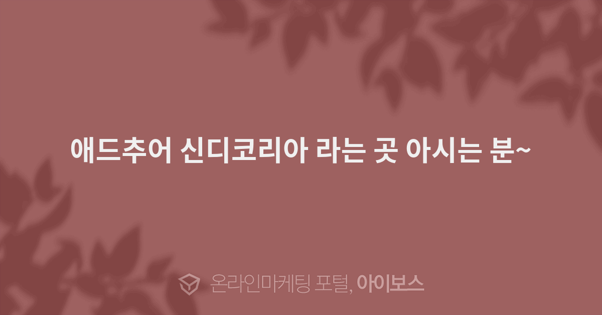 신디코리아 이미지